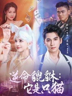逆命貔貅它是只猫高清播放