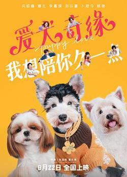爱犬奇缘高清播放