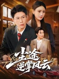 尘途逆掌风云