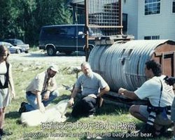 我家的野生动物第一季在线观看