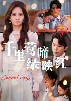千里莺啼绿映红高清播放