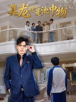 真龙岂是池中物高清播放