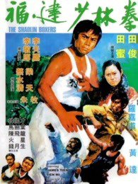 福建少林拳高清播放