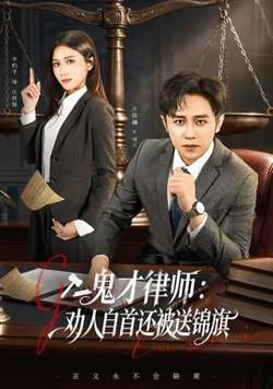 鬼才律师，劝人自首还被送锦旗高清播放