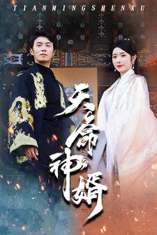 天命神婿在线观看