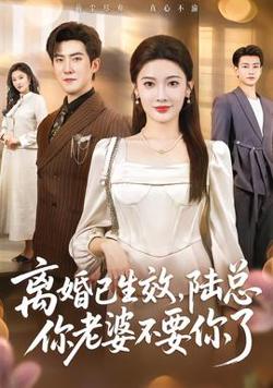 离婚已生效，陆总你老婆不要你了高清播放