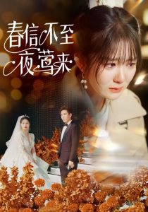 春信不至夜莺来在线观看