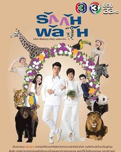 爱情混战TV版高清播放