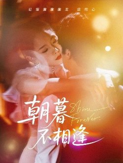 朝暮不相逢高清播放