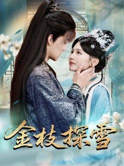 金枝探雪高清播放