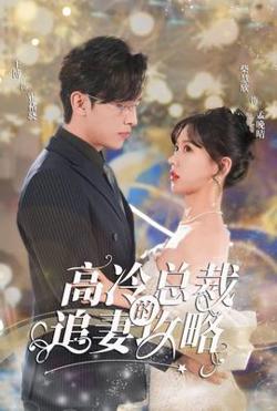 怀崽后孟秘书每天都想跑路&高冷总裁的追妻攻略
