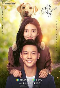 照亮你高清播放