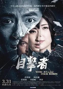 目击者之追凶【影视解说】高清播放