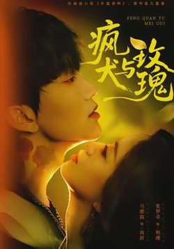 疯犬与玫瑰在线观看