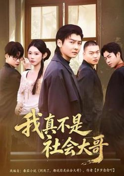 我真不是社会大哥高清播放