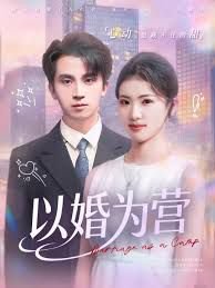 以婚为营