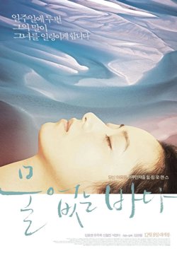 没有水的大海高清播放