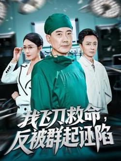 我飞刀救命反被群起诬陷高清播放
