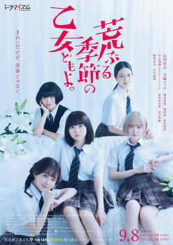 骚动时节的少女们啊高清播放