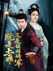 既是土匪，又是镇国将军高清播放
