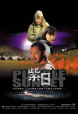 紫日【影视解说】在线观看