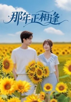 那年正相逢在线观看