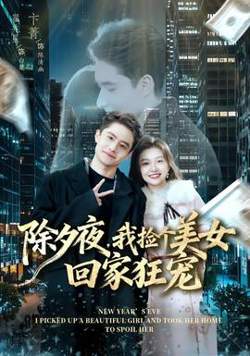 除夕夜，我捡个美女回家狂宠高清播放