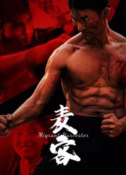 麦客高清播放