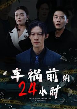 车祸前的24小时高清播放
