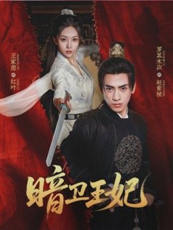 暗卫王妃在线观看