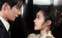 相错亲后，我被霸总宠上天在线观看