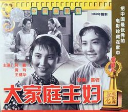 大家庭主妇在线观看