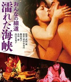 女人的小道：濡湿海峡[电影解说]在线观看