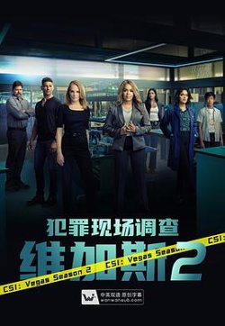 犯罪现场调查：维加斯第二季高清播放