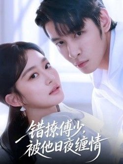 错撩傅少，被他日夜缠情