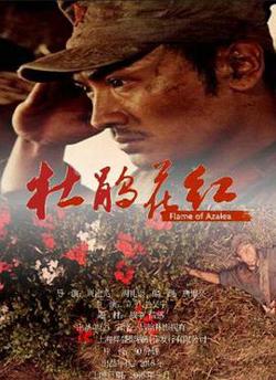 杜鹃花红高清播放