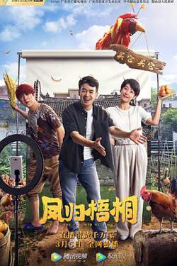 凤归梧桐（国语版）在线观看
