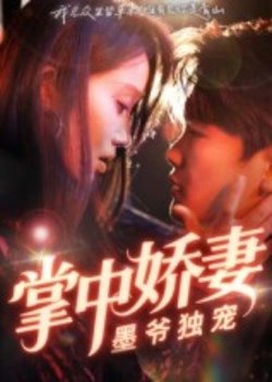 掌中娇妻墨爷独宠