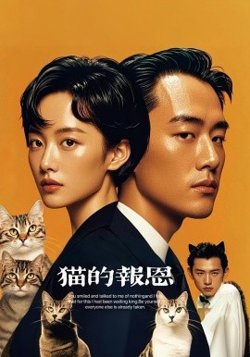 猫的报恩高清播放