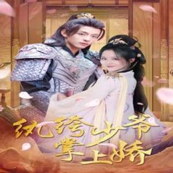 纨绔少爷掌上娇高清播放