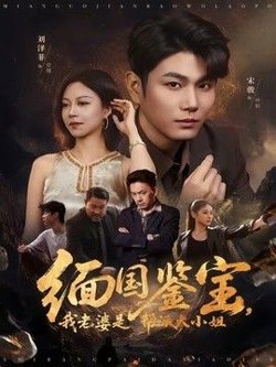 缅国鉴宝，我老婆是帮派大小姐