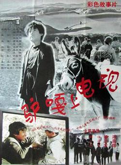 驴嘎上电视高清播放