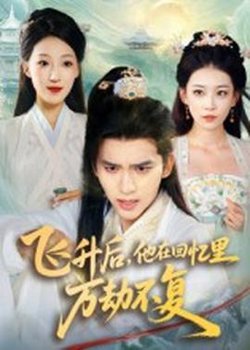 飞升后，他在回忆里万劫不复高清播放