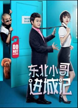 东北小哥进城记在线观看