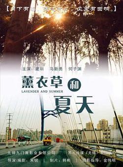薰衣草和夏天高清播放