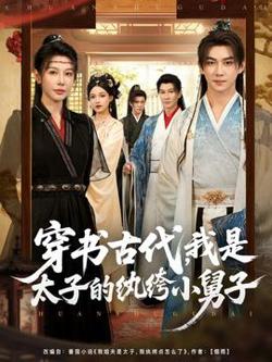 穿书古代我是太子的纨绔小舅子在线观看