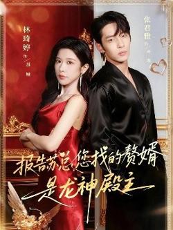 报告苏总，您找的赞婿是龙神殿主高清播放