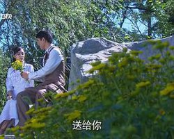 女人莲心高清播放