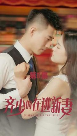 齐少的在逃新妻在线观看