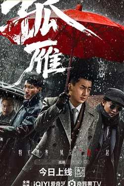 孤雁2026在线观看